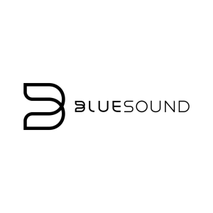 BlueSound Node (2024) Audio Streamer