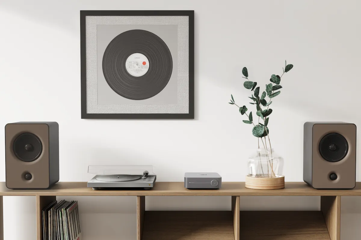 The wiim amp in grey rests on a credenza beside a record player and plants
