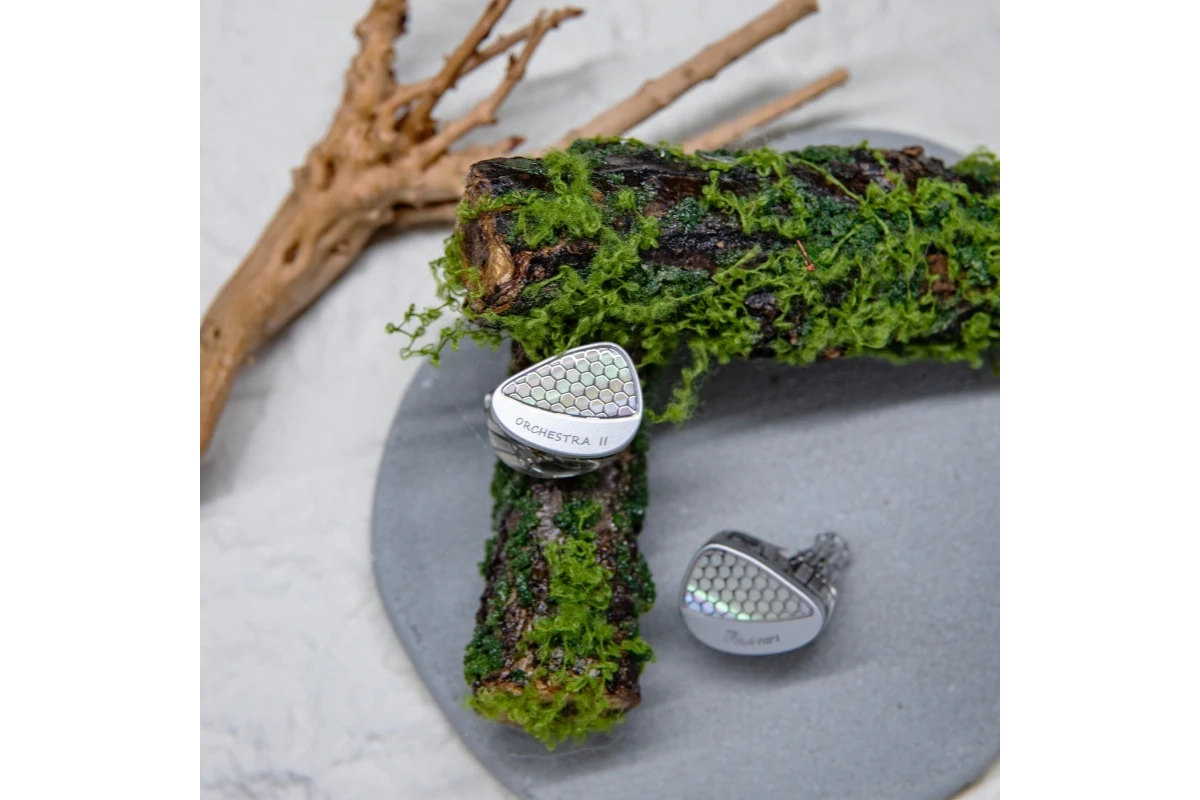 Kiwi Ears Orchestra II 7 Kiwi Ears Orchestra II product photo