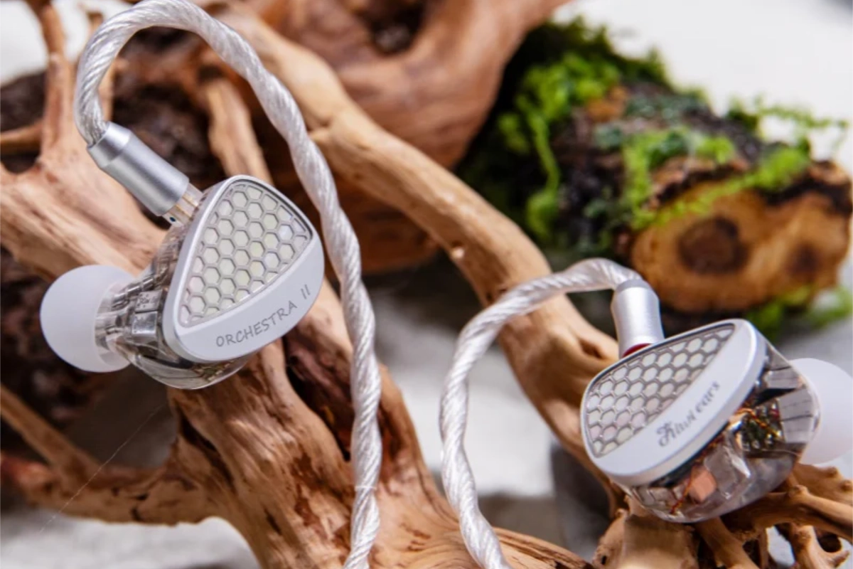 Kiwi ears orchestra 2