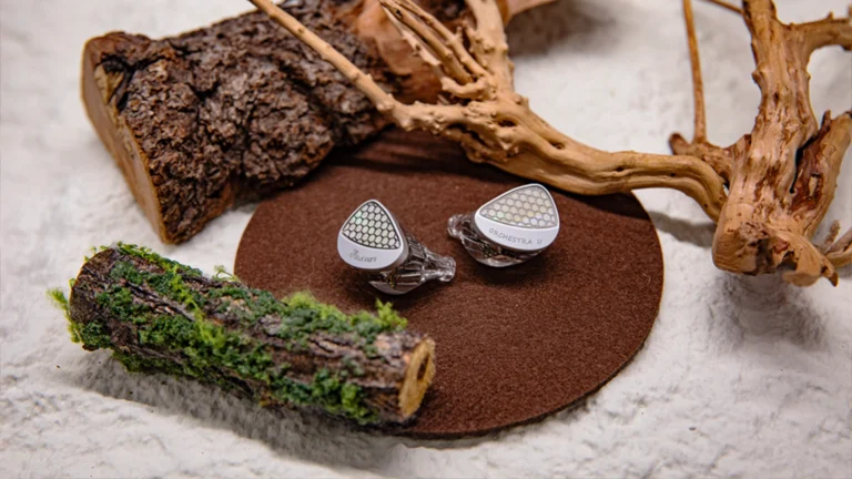 Kiwi Ears Orchestra 2 iems earbuds on natural background