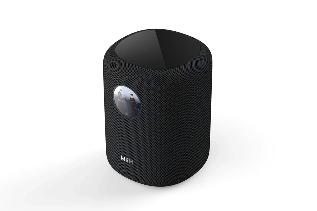 WiiM Sound Smart Speaker 1